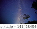 伊豆半島、天の川 141428454