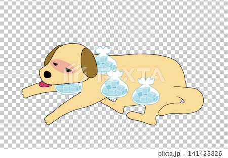 Where to apply ice packs for first aid in dogs suffering from heatstroke. Where to apply ice packs for first aid in dogs suffering from heatstroke. 141428826