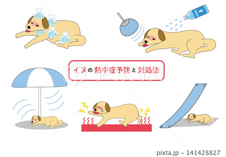 犬の熱中症予防と対処法セット 応急処置と注意点をまとめたペットの暑さ対策イラスト 犬の熱中症予防と対処法セット 応急処置と注意点をまとめたペットの暑さ対策イラスト 141428827