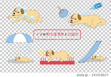 犬の熱中症予防と対処法セット 応急処置と注意点をまとめたペットの暑さ対策イラスト 犬の熱中症予防と対処法セット 応急処置と注意点をまとめたペットの暑さ対策イラスト 141428827