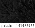 Beautiful black grey bird feathers pattern texture background. 141428955