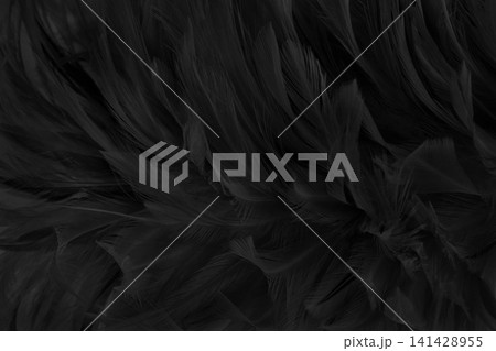 Beautiful black grey bird feathers pattern texture background. Beautiful black grey bird feathers pattern texture background. 141428955