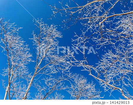 《北海道》雪化粧 《北海道》雪化粧 141429013