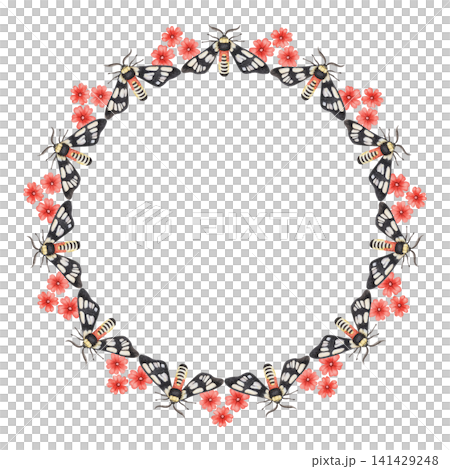 Wasp moth round wreath. Hand drawn watercolor black butterfly insect with scarlet flower around circle copy space. Decorative frame for gardening card design. Tropical botanical isolated template. Wasp moth round wreath. Hand drawn watercolor black butterfly insect with scarlet flower around circle copy space. Decorative frame for gardening card design. Tropical botanical isolated template. 141429248