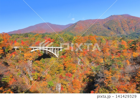 【宮城県】快晴の鳴子峡の紅葉 【宮城県】快晴の鳴子峡の紅葉 141429329