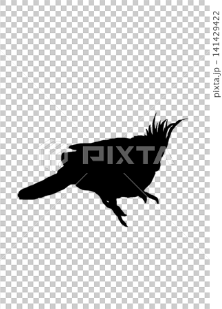 Silhouette of a cockatiel taking a break Silhouette of a cockatiel taking a break 141429422