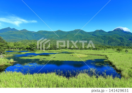 【北海道】晴天下の知床連山と知床五湖 【北海道】晴天下の知床連山と知床五湖 141429631