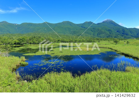 【北海道】晴天下の知床連山と知床五湖 141429632