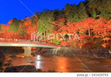 【愛知県】香嵐渓の紅葉ライトアップ 【愛知県】香嵐渓の紅葉ライトアップ 141429743