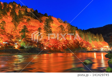 【愛知県】香嵐渓の紅葉ライトアップ 【愛知県】香嵐渓の紅葉ライトアップ 141429745