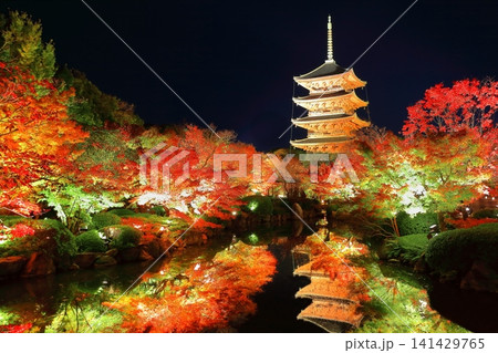 【京都府】東寺の紅葉ライトアップ（夜間特別拝観） 141429765