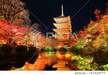 【京都府】東寺の紅葉ライトアップ(夜間特別拝観) 【京都府】東寺の紅葉ライトアップ(夜間特別拝観) 141429777