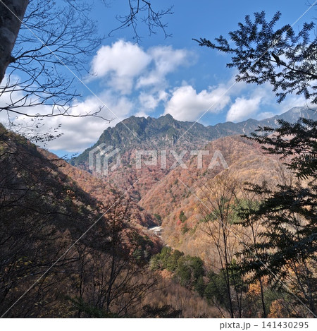 紅葉 西沢渓谷 紅葉 西沢渓谷 141430295