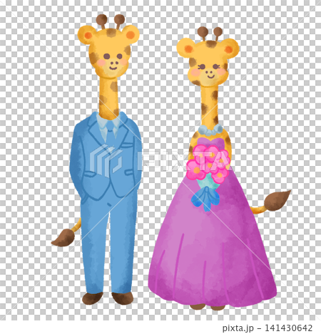 Watercolor illustration of a giraffe bride and groom in a suit and dress. Watercolor illustration of a giraffe bride and groom in a suit and dress. 141430642
