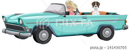 Woman Driving Classic Convertible With Two Dogs 141430705