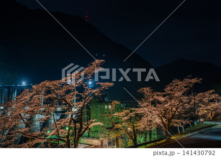 浜松市のライトアップされた秋葉ダム千本桜の風景(静岡県) 141430792
