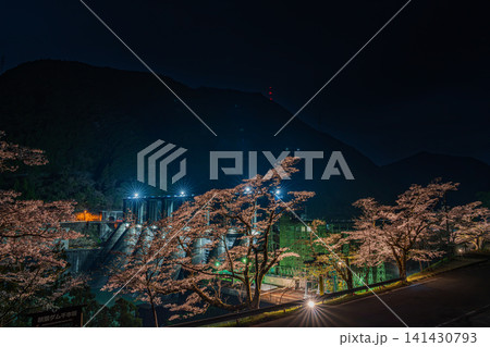 浜松市のライトアップされた秋葉ダム千本桜の風景(静岡県) 141430793