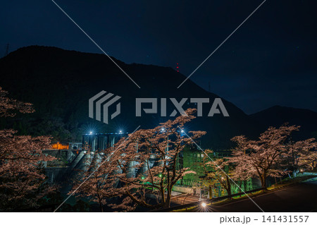 浜松市のライトアップされた秋葉ダム千本桜の風景(静岡県) 浜松市のライトアップされた秋葉ダム千本桜の風景(静岡県) 141431557