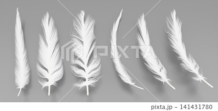 Bird feathers 3d set isolated on background. Beautiful plumes of white heron, swan, owl or goose for advertising down pillows, soft bedding textures, angel wings, lightweight concepts. 3D illustration Bird feathers 3d set isolated on background. Beautiful plumes of white heron, swan, owl or goose for advertising down pillows, soft bedding textures, angel wings, lightweight concepts. 3D illustration 141431780