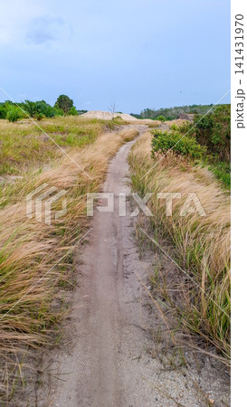 Dirt Path Way Through Golden Dry Grass Field Landscape Dirt Path Way Through Golden Dry Grass Field Landscape 141431970
