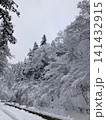 雪が降り続く幻想的な冬の森の風景 141432915