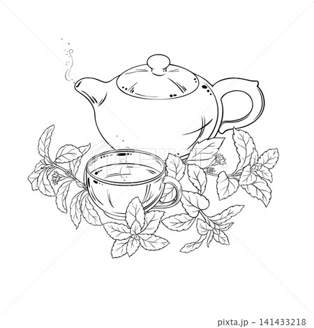 Stevia Tea in Teapot Outline Illustration. Stevia Tea in Teapot Outline Illustration. 141433218