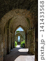 arcade at the ruin of Notre-Dame de Beauporte 141433568