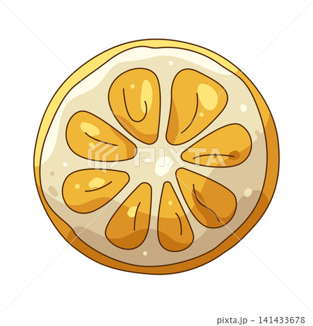 Illustration of orange slice 141433678