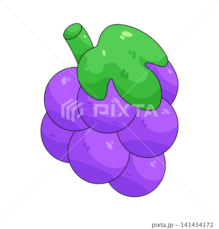 Illustration of grape Illustration of grape 141434172