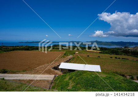 蔵之元&平尾展望所からの風景(長島町) 蔵之元&平尾展望所からの風景(長島町) 141434218