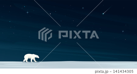 Night at North Pole have polar bear walking alone on ice with a lot of stars on the sky background. Snow landscape concept vector illustration with blank space. Night at North Pole have polar bear walking alone on ice with a lot of stars on the sky background. Snow landscape concept vector illustration with blank space. 141434305