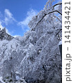 青空を背景に雪が重く降り積もった冬の樹木 141434421