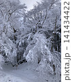 静寂に包まれた雪深い冬の森の散策路 141434422