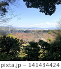 木々の間から望む街並みと遠くの山々 141434424
