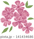Art work 141434686