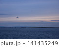 夕方の羽田空港を離陸する旅客機 141435249