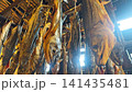 新潟県村上市の伝統料理 軒下に吊るされた塩引き鮭と冬の風物詩 141435481