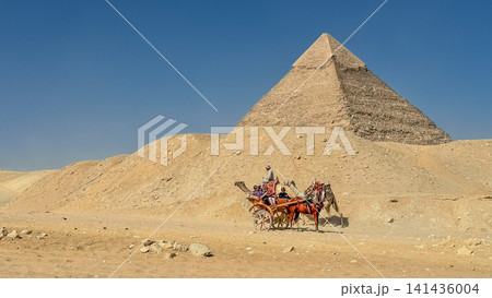 Bedouin camels and horses near the Egyptian pyramids, Cairo, Giza Bedouin camels and horses near the Egyptian pyramids, Cairo, Giza 141436004
