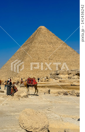 Bedouin camels and horses near the Egyptian pyramids, Cairo, Giza Bedouin camels and horses near the Egyptian pyramids, Cairo, Giza 141436242