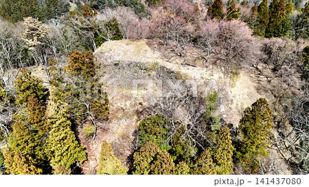 但馬国　山城「八木城」の空撮　曲輪と石垣の様子 141437080