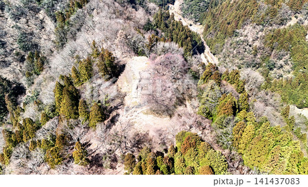 但馬国　山城「八木城」の空撮　曲輪と石垣の様子 141437083