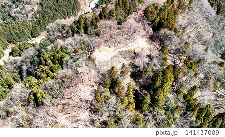但馬国 山城「八木城」の空撮 曲輪と石垣の様子 但馬国 山城「八木城」の空撮 曲輪と石垣の様子 141437089
