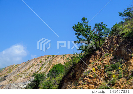 Sunny hillside with rocky slopes and green trees 141437821