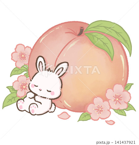 Cute Kawaii Sleeping Bunny Resting Beside Giant Japanese White Peach Surrounded by Cherry Blossoms Pastel Spring Fruit Illustration Cozy Peach Harvest Theme Cute Kawaii Sleeping Bunny Resting Beside Giant Japanese White Peach Surrounded by Cherry Blossoms Pastel Spring Fruit Illustration Cozy Peach Harvest Theme 141437921