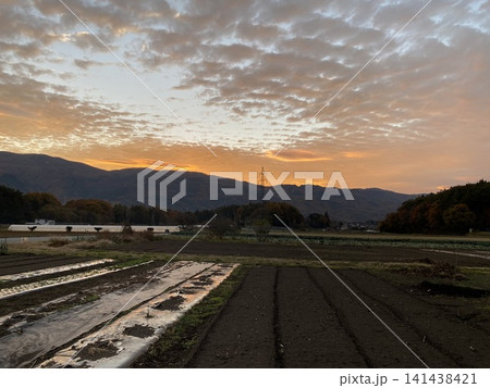 長野県原村の夕暮れと農村風景 長野県原村の夕暮れと農村風景 141438421
