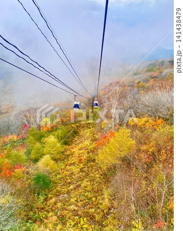 紅葉のあだたら山ロープウェイ 紅葉のあだたら山ロープウェイ 141438479