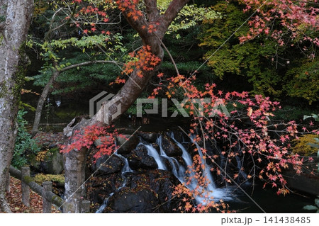 紅葉の間を流れる川 141438485