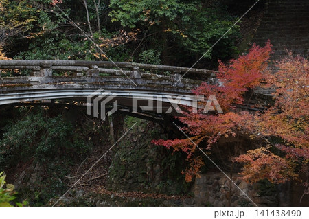 紅葉した木 紅葉した木 141438490