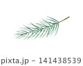 Green Christmas pine twig. Watercolor winter branch, hand drawn illustration isolated on background, transparent png. Botanical, wedding clip art. For greeting card, wallpaper, wrapping paper design,  141438539