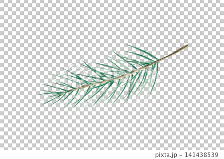 Green Christmas pine twig. Watercolor winter branch, hand drawn illustration isolated on background, transparent png. Botanical, wedding clip art. For greeting card, wallpaper, wrapping paper design, Green Christmas pine twig. Watercolor winter branch, hand drawn illustration isolated on background, transparent png. Botanical, wedding clip art. For greeting card, wallpaper, wrapping paper design, 141438539